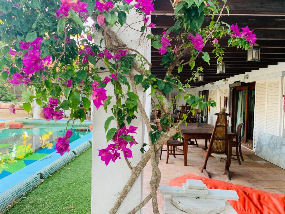 Ibiza Paradise Bed & Breakfast Santa Eularia des Riu Bagian luar foto